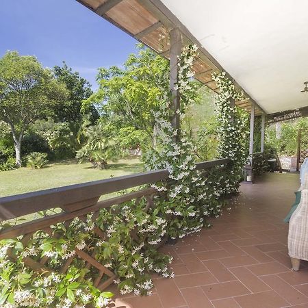 Villa Monserrato - Goelba Porto Azzurro Luaran gambar