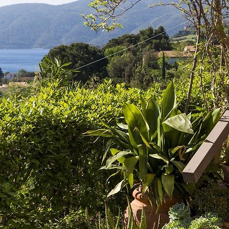 Villa Monserrato - Goelba Porto Azzurro Luaran gambar